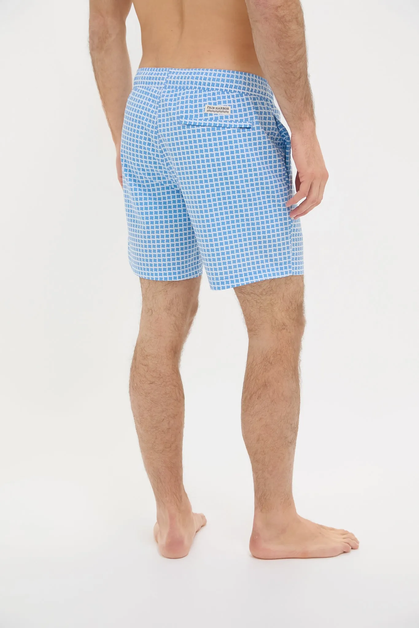 Blue Tiles Bayberry Trunks