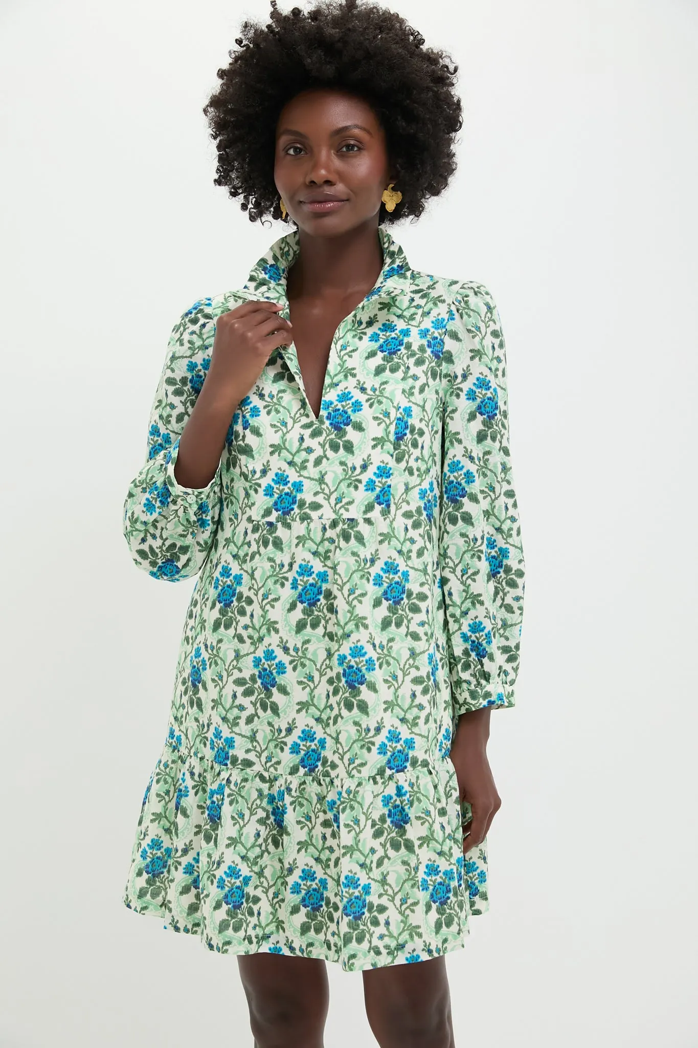 Cerulean Vine Palmerston Dress