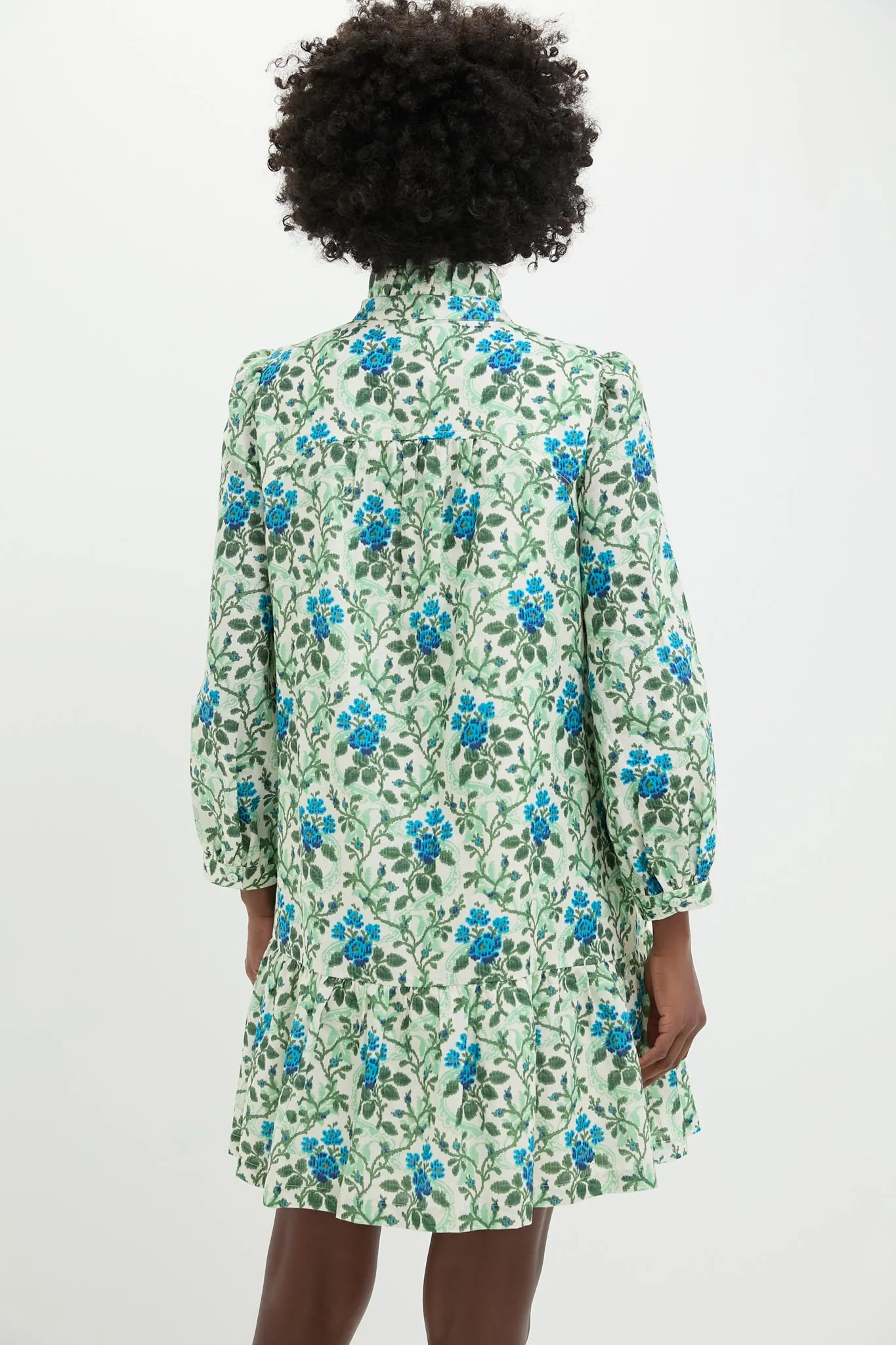 Cerulean Vine Palmerston Dress