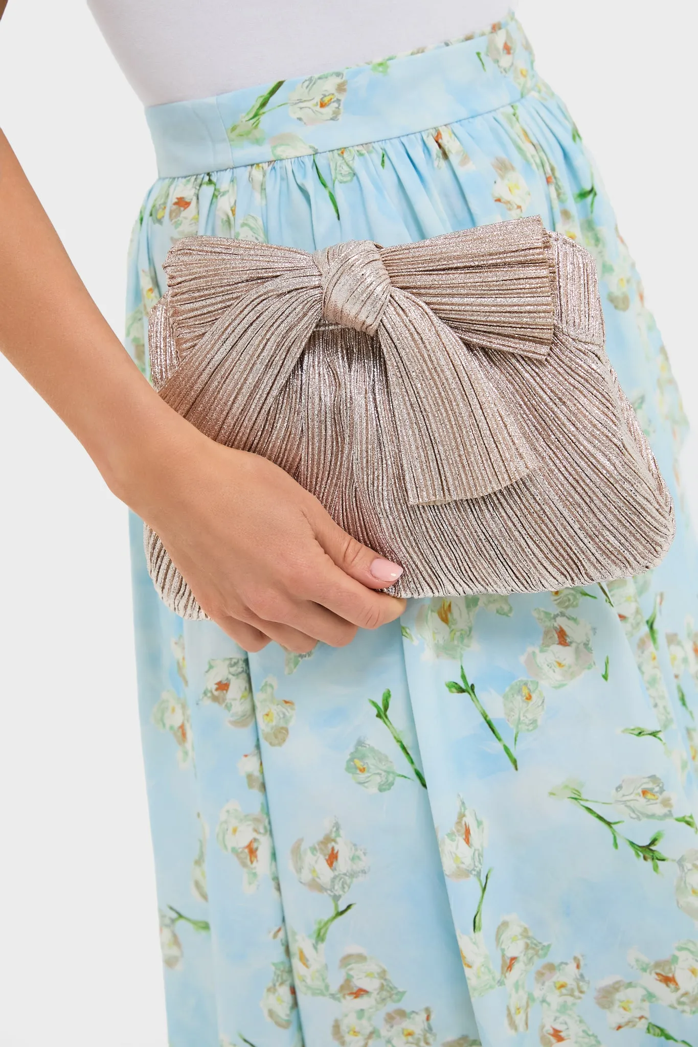 Champagne Shimmer Rayne Pleated Frame Clutch