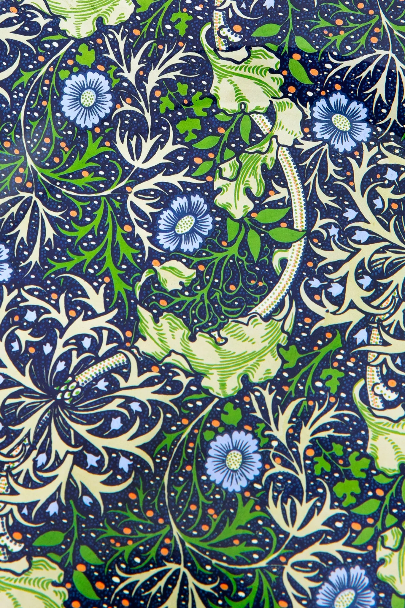 Morris Seaweed Tin Plate