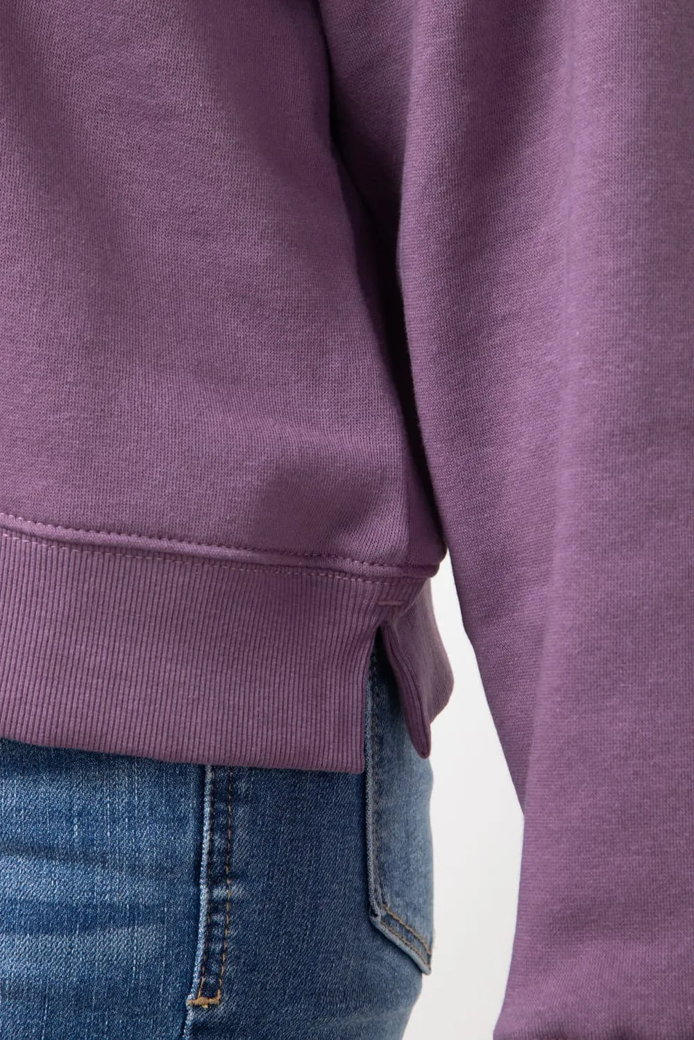 The North Face Evolution Fleece Sweatshirt for Women in Midnight Mauve | NF0A88ZX-1NI