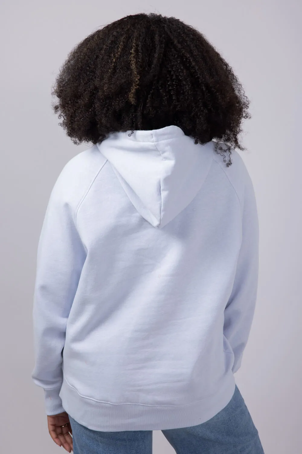 The North Face Evolution Hoodie for Women in Mystic Haze | NF0A88ZW-0TI